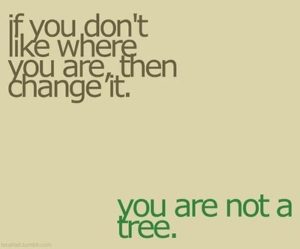 tree and change